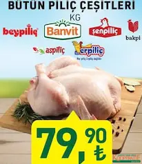 BÜTÜN PİLİÇ/TAVUK ÇEŞİTLERİ KG